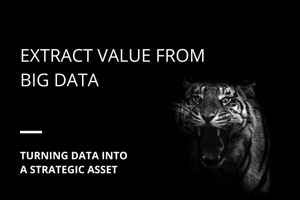 Navigating the Data Maze – How to extract value from big data?